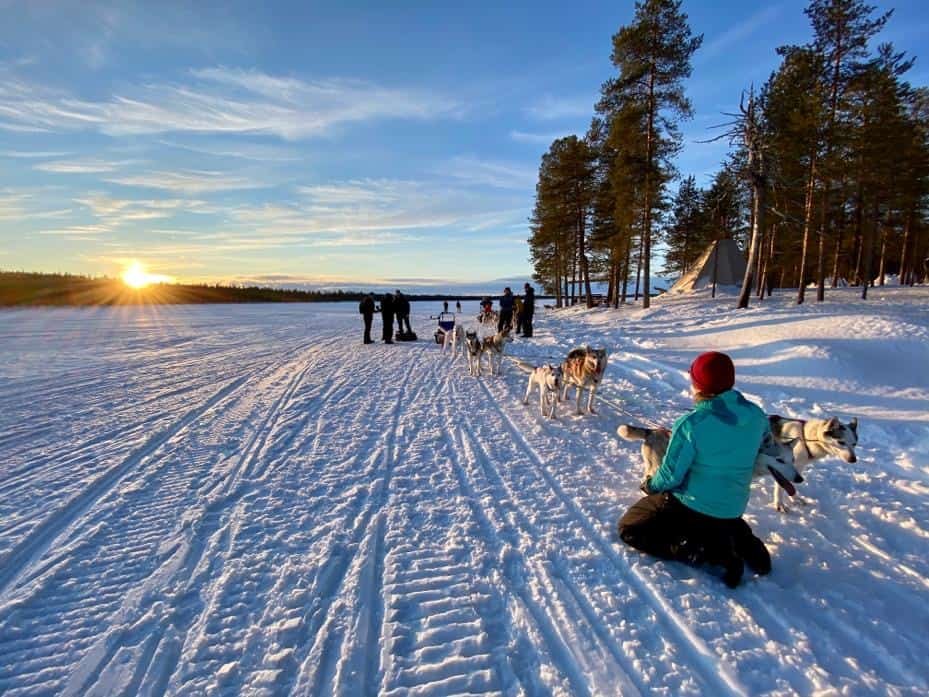 Husky tocht Down the road - vierde seizoen in Fins Lapland