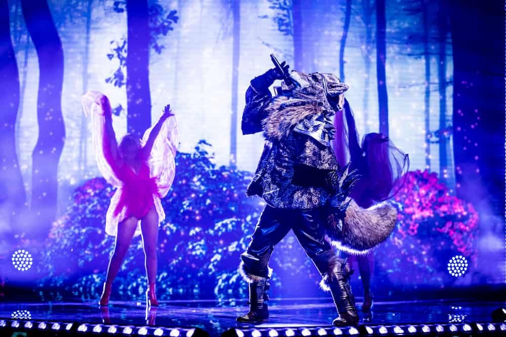 Wolf zet show neer in The Masked Singer op VTM