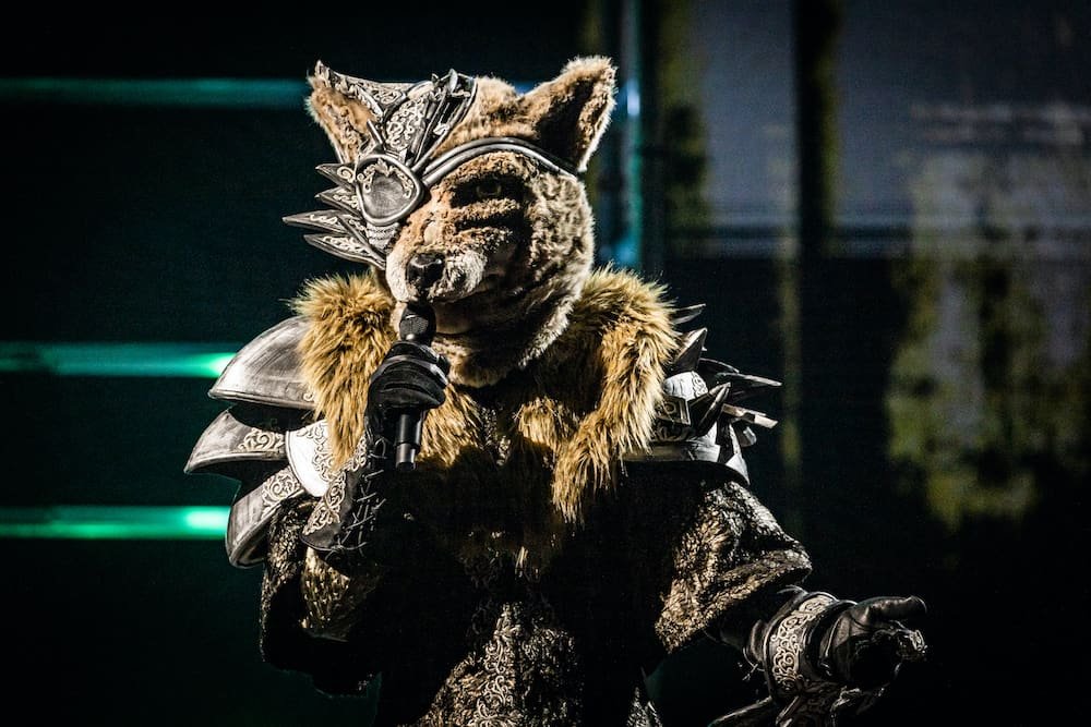 Wolf in tweede aflevering The Masked Singer op VTM